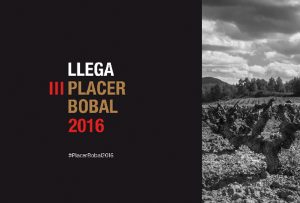 Salon Placer Bobal 2016