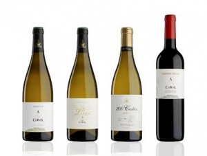 Vinos de Adega A Coroa Vinos de Adega A Coroa