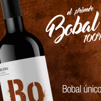 bo vino bobal