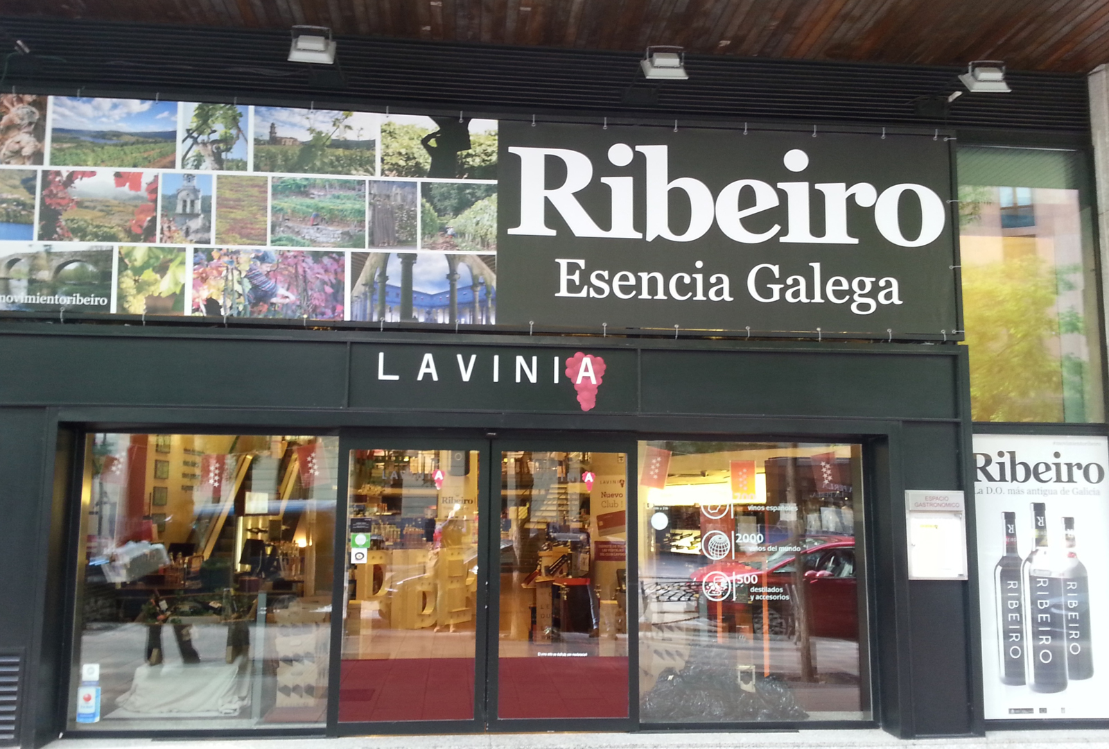 Lavinia Madrid, D.O. Ribeiro será la protagonista. - VINOS DIFERENTES