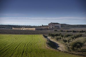 Bodegas Torres construirá una bodega en Lleida, en su finca de L’Aranyó