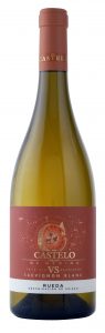Sauvignon Blanc Vendimia Seleccionada