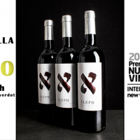 Aleph merlot petit verdot