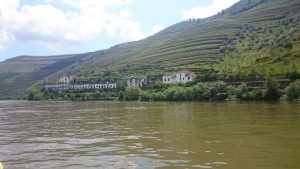 Imagen. Viñedos de Oporto a la ribera del Douro (Portugal).