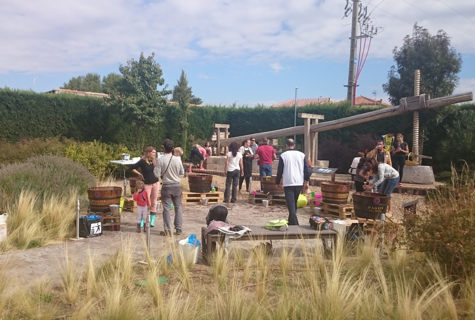 Pagos del Rey Museo del Vino presenta: A por Uvas - VINOS DIFERENTES
