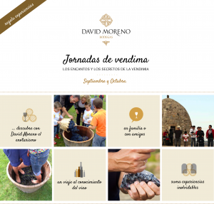 Jornadas de vendimia en familia o con los amigos jornadas de vendimia 1