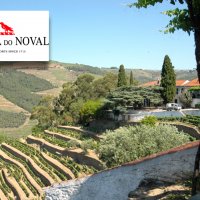 quinta do noval