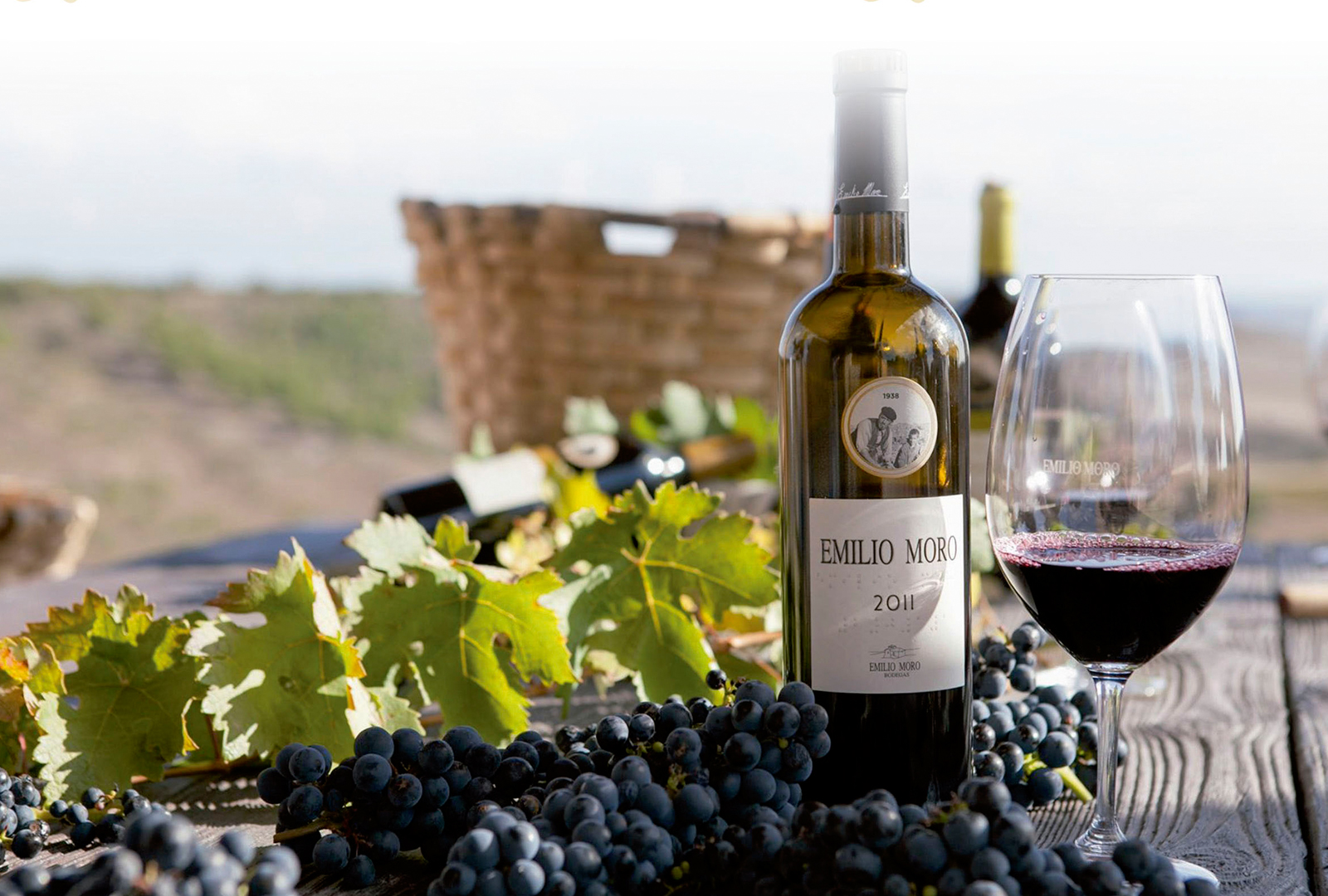 Десертное вино из винограда. Винодельческое хозяйство Emilio Moro. Вино Испания. Винный тур. Испанское вино.