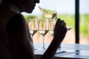 Ruta del Vino de Rueda infinidad de actividades especiales MiguelAngelMunozRomero RutaVinoRueda