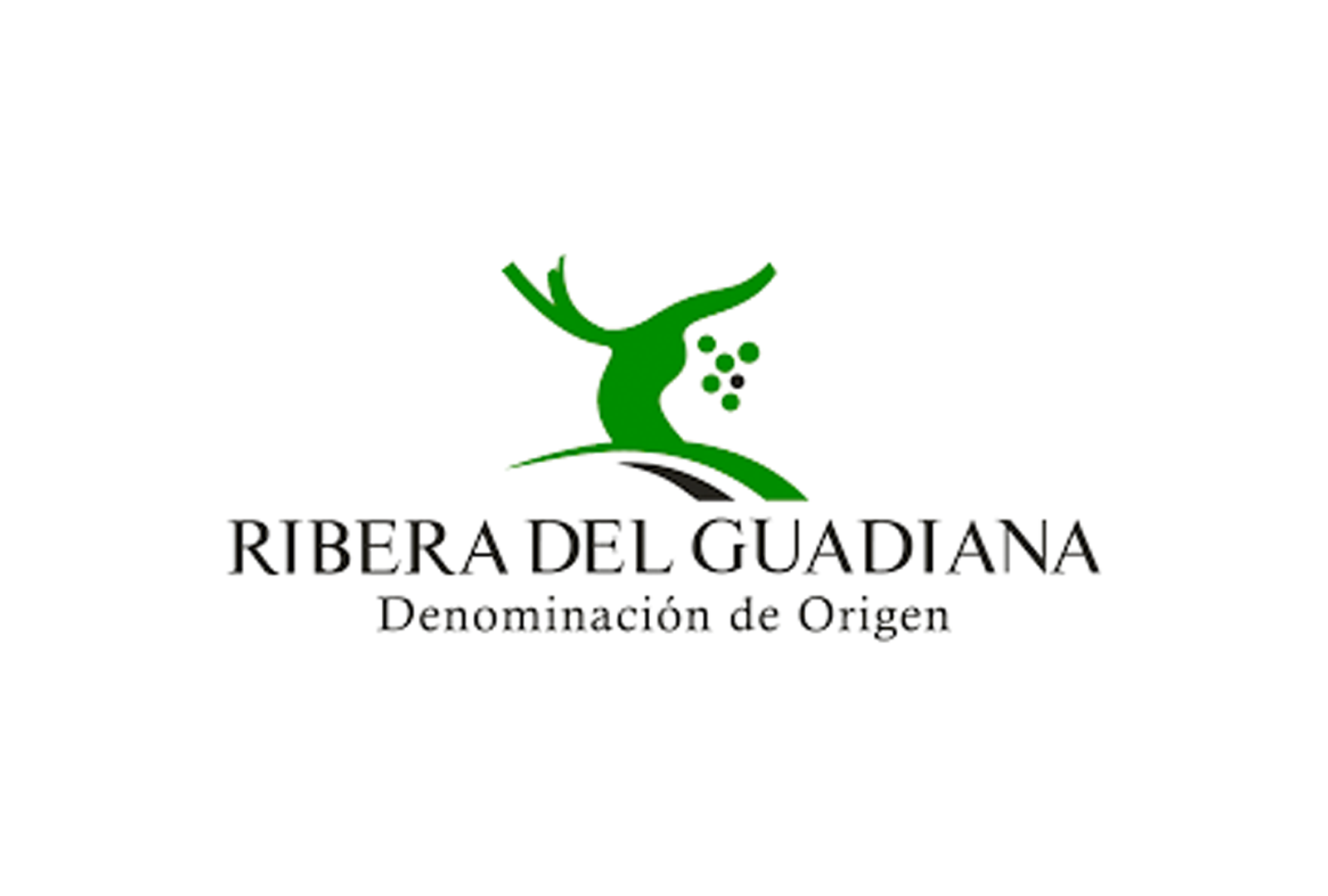 Diputación de Badajoz apoyará los vinos D.O. Ribera del Guadiana - VINOS DIFERENTES