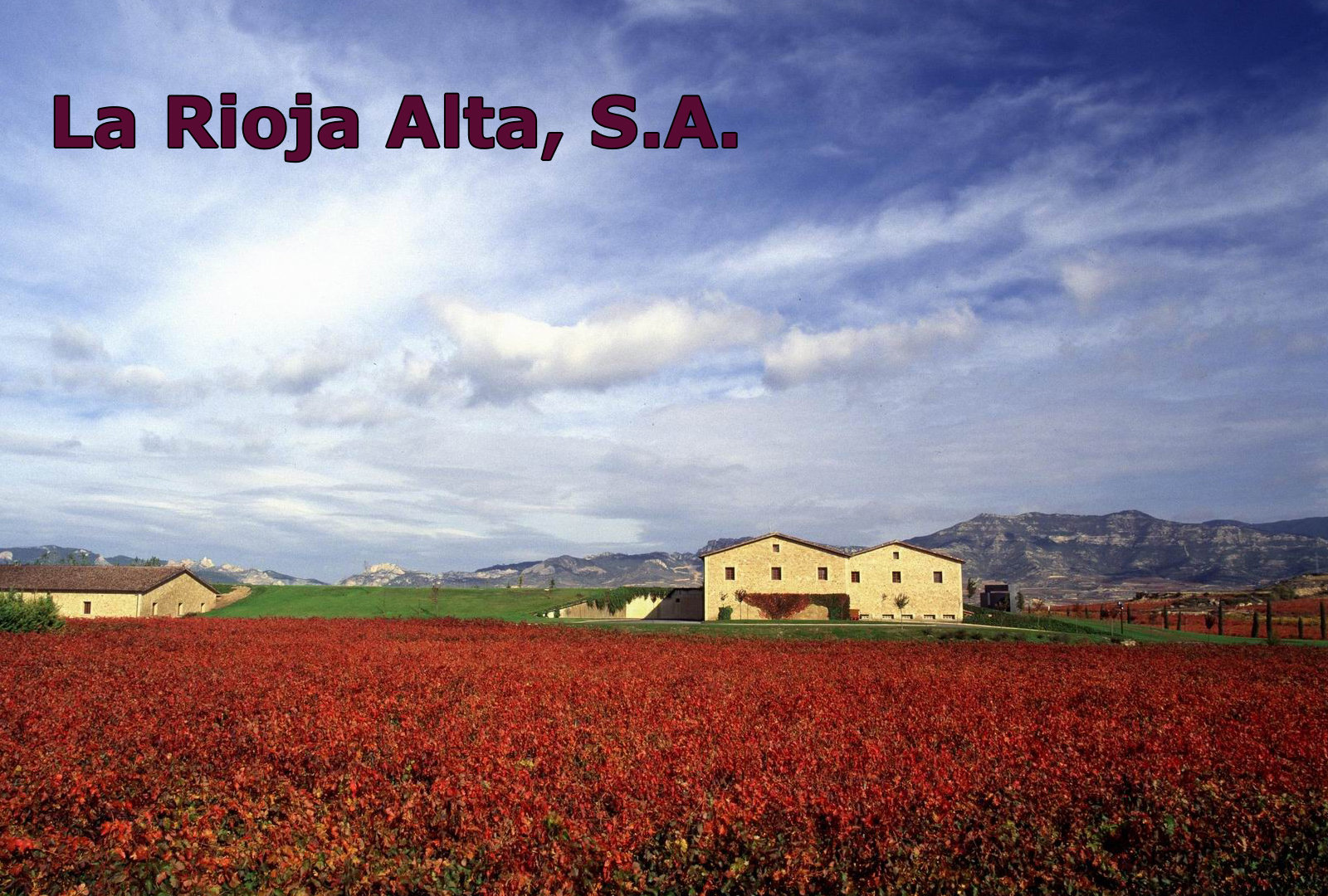La Rioja Alta S.A. apuesta por la viticultura ecológica. Vino Rioja.