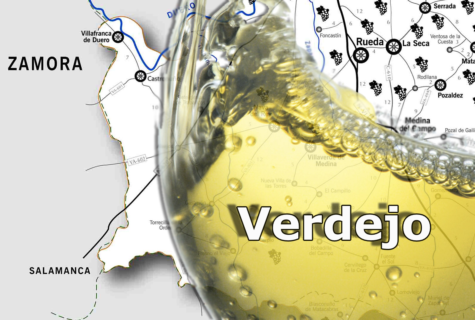 Uva verdejo