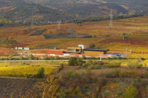 bodega losada vinos de finca bodega losada vinos de finca