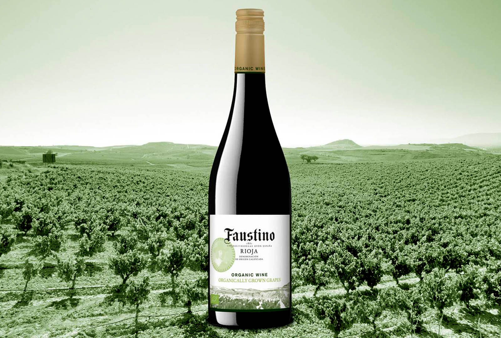 Vino Faustino Orgánico. Bodegas Faustino.