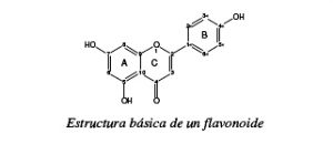 Composición química flavonoides. Composición química flavonoides.