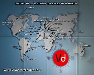 Cultivo de la vid de uva garnacha en el mundo. Cultivo de la vid de uva garnacha en el mundo.