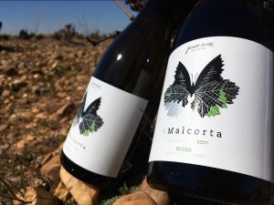 V Malcorta 2017 V Malcorta 2017