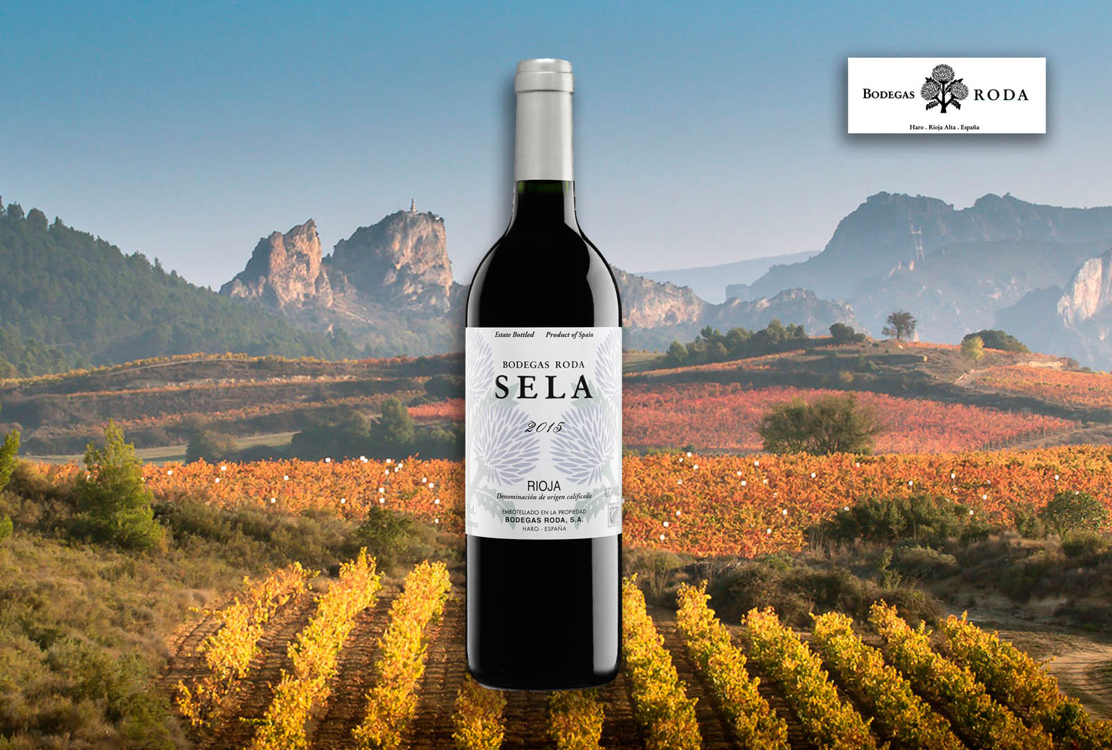 vino sela 2015