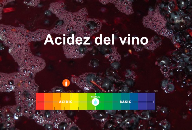 acidez de los vinos