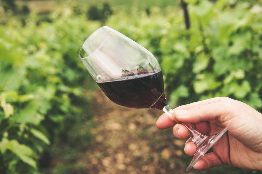 ¿Es cierto que el vino tinto tiene beneficios para la salud?